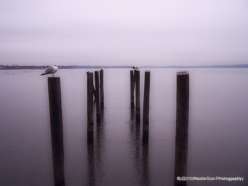 Upper Chesapeake Bay.  Havre de Grace, Maryland.  (2007)