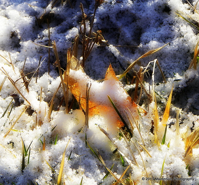 Spring is hiding under the snow.