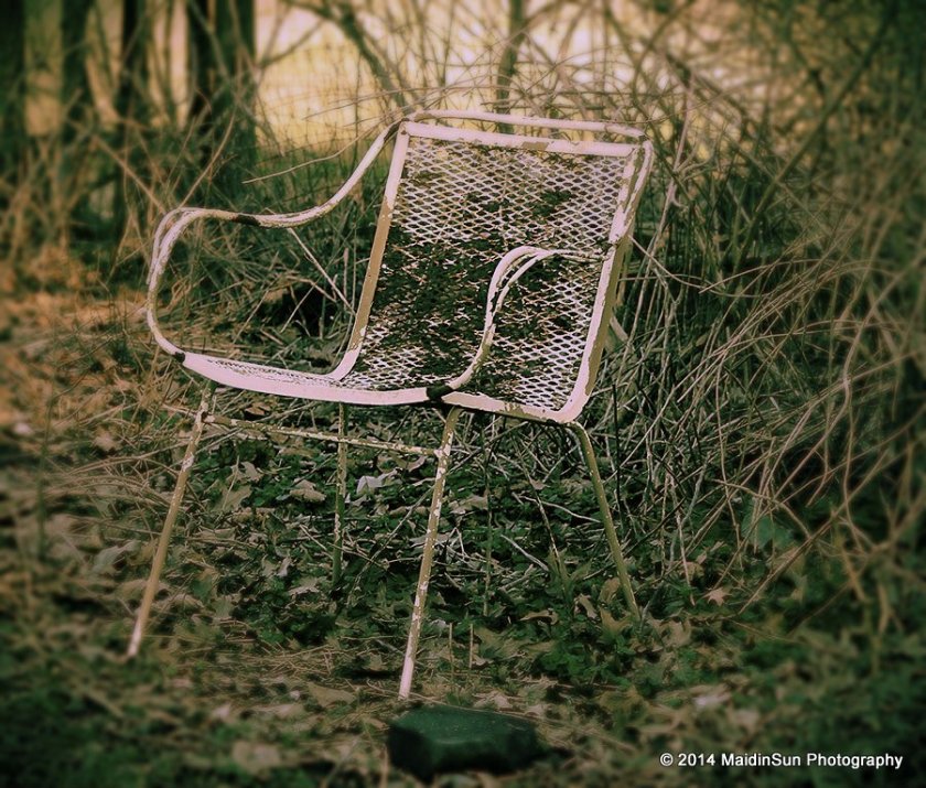 A chair in the garden.  I wonder if I can clean it up and paint it?  I'll have to take a closer look next time I'm out there.
