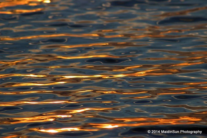Liquid gold.  (Sunset reflections on the water.)