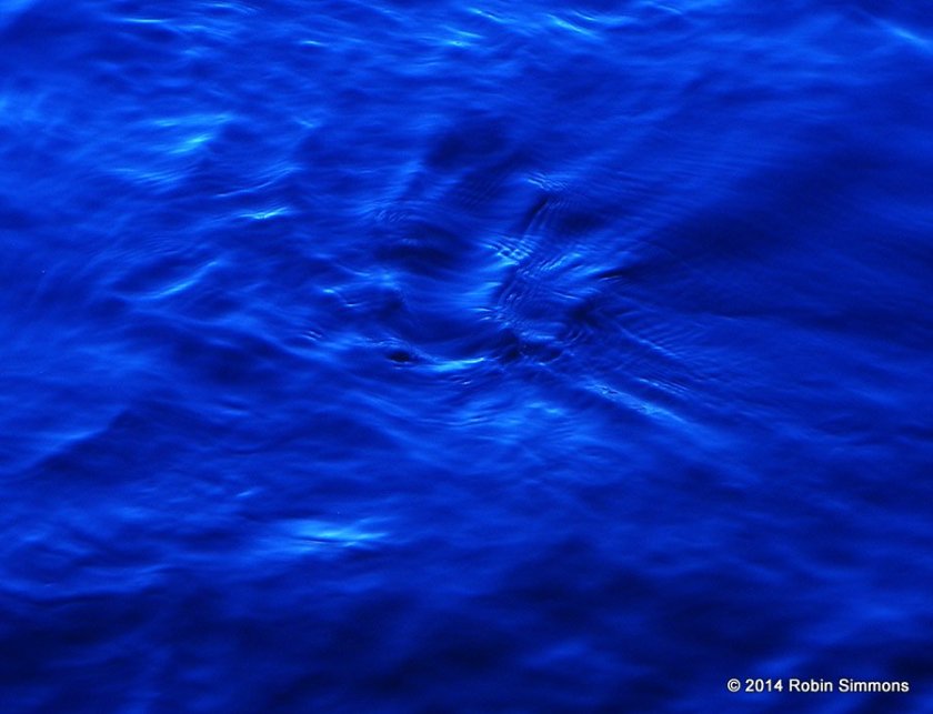 Water from the deep blue sea.