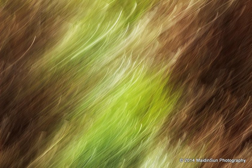 Meadow abstract.