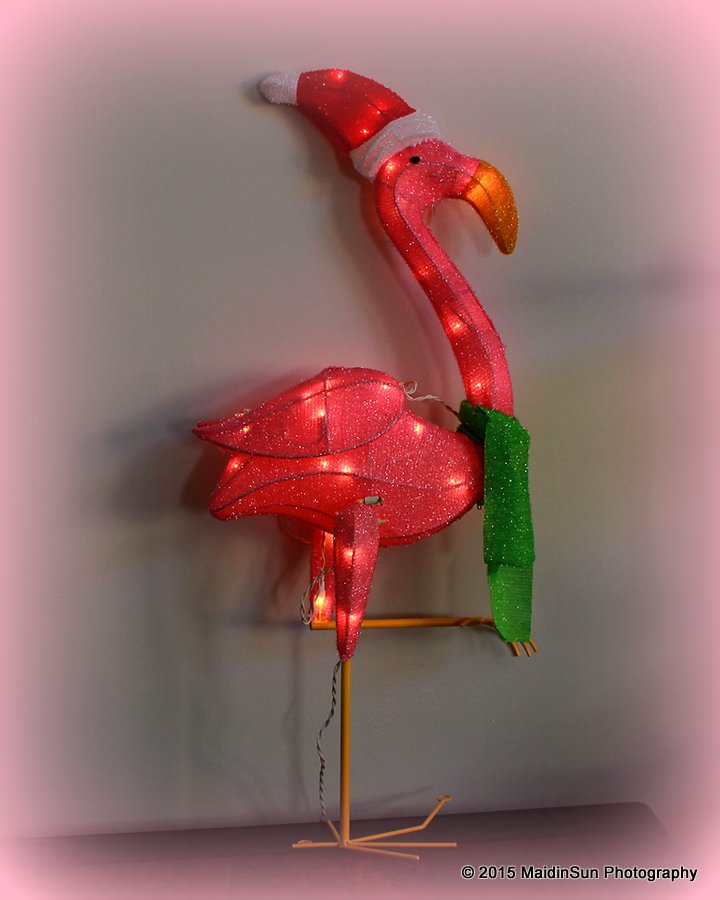 It's time to bring out the Festivus Flamingo!