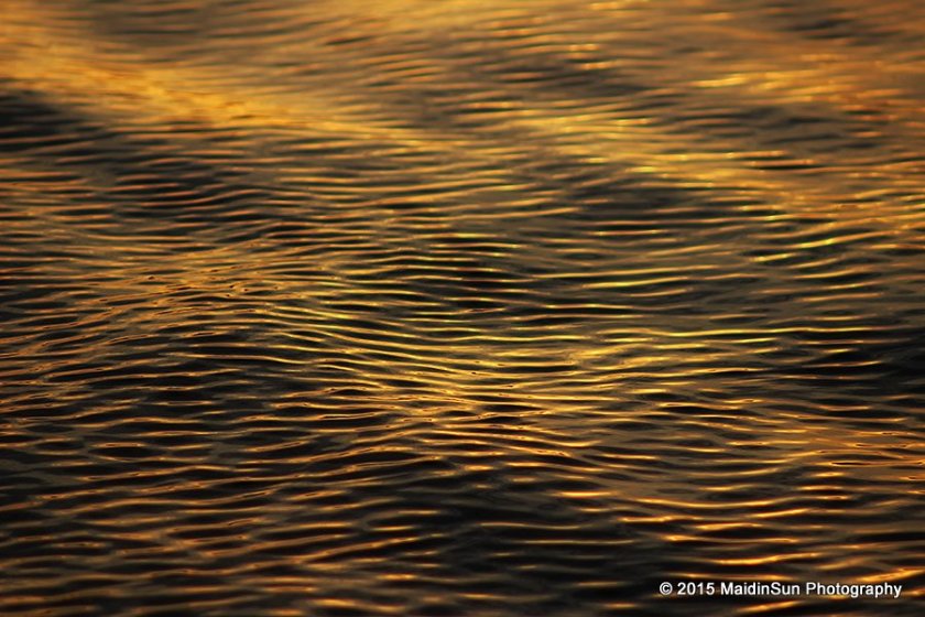 Golden sunset on the water.